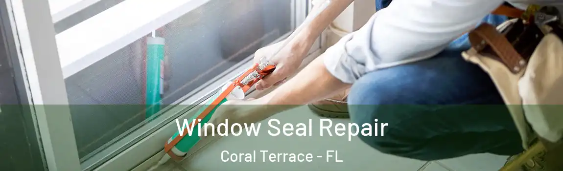 Window Seal Repair Coral Terrace - FL